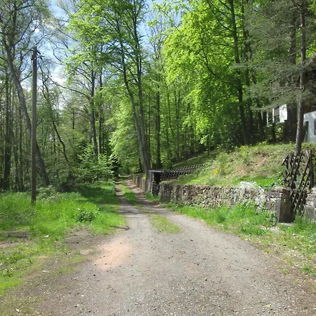 Eulennest * Carlsberg